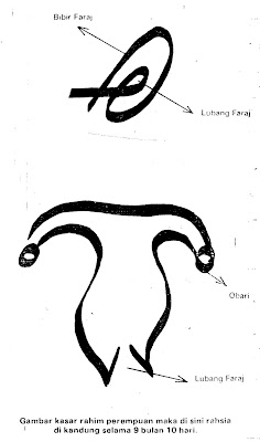 hakikat insan ahmad laksamana
